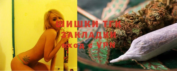 СК Аркадак