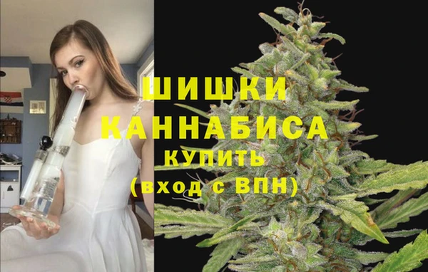 СК Арсеньев