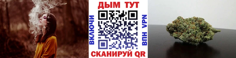 ссылка на мегу онион Козьмодемьянск Каннабис сатива